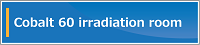 Cobalt 60 irradiation room